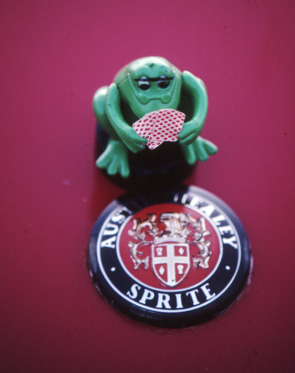 Frog Badge